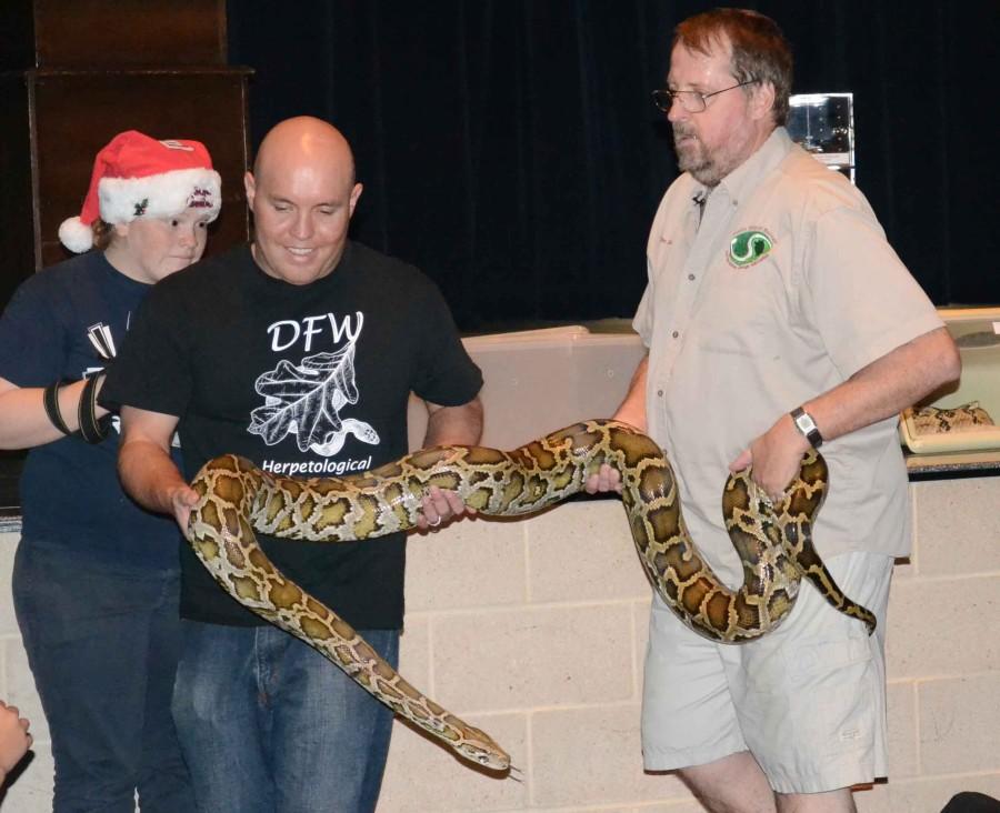 Photos: Reptile Display