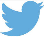 The twitter logo (screen shotted)