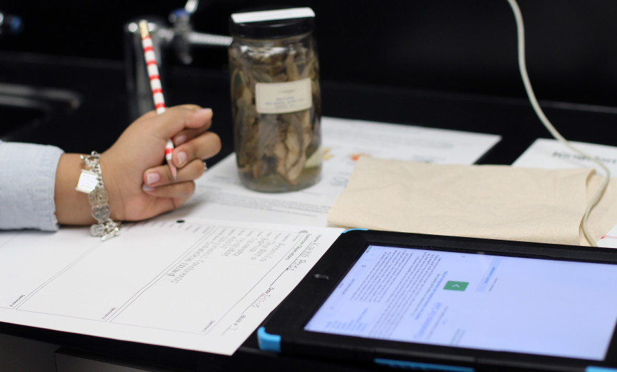 Photos: Freshman Biology Lab