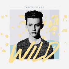 Sivan stays true to his style with "Wild"