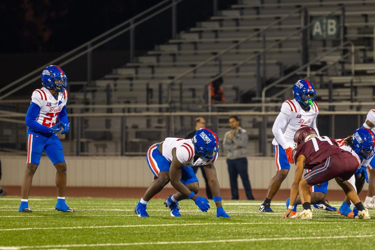Mesquite-01